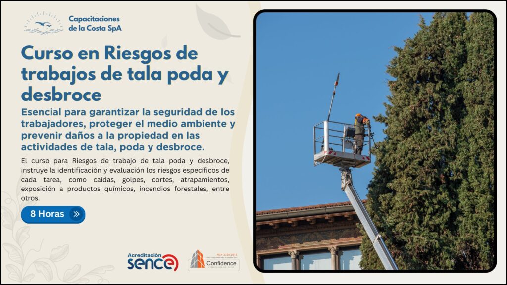 Curso en Riesgos de trabajos de tala poda y desbroce
