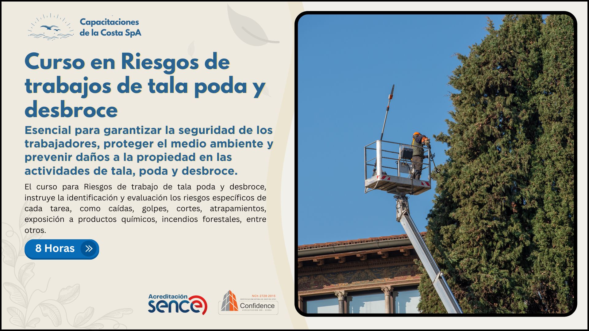 Curso en Riesgos de trabajos de tala poda y desbroce