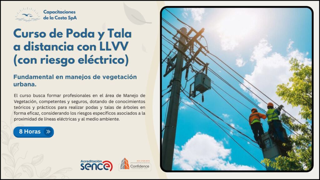 Curso de Poda y tala a distancia con LLVV (con riesgo eléctrico)